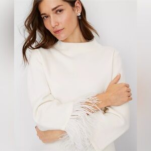 Ann Taylor Mockneck Sweater with Feather Trim